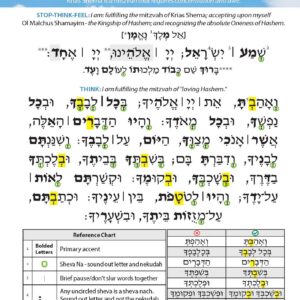 Shema Card